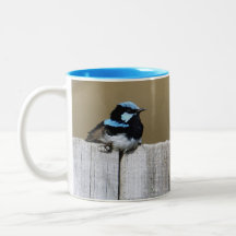 Blue Fairy-wren Mug