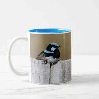 Blue Fairy-wren Mug