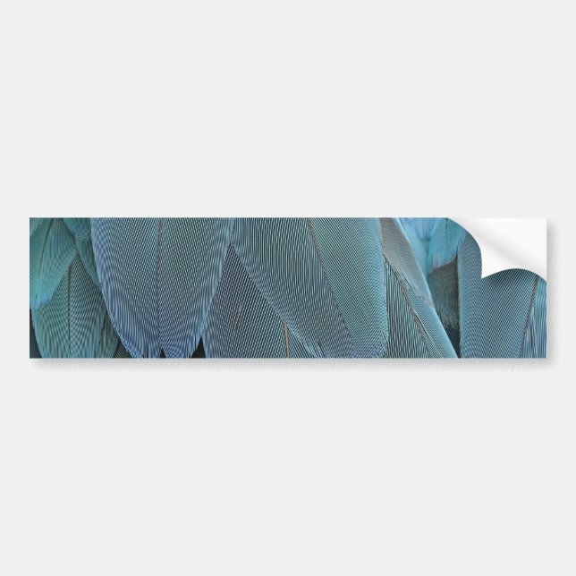 Blue Feather Bumper Sticker (Front)