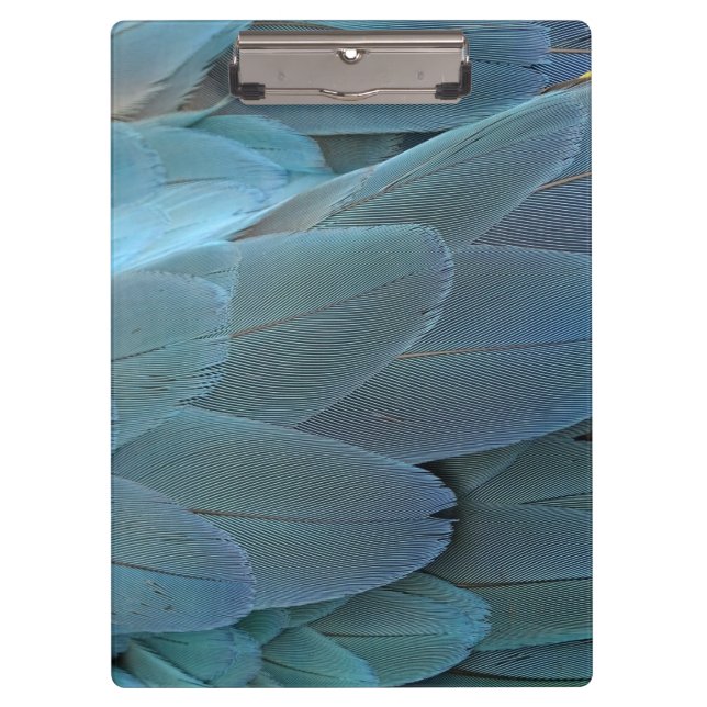Blue Feather Clipboard (Front)