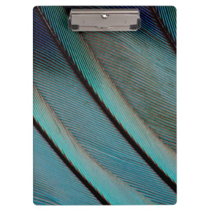 Blue feather pattern clipboard