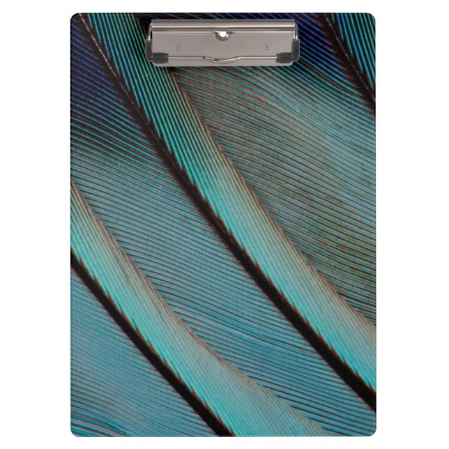Blue feather pattern clipboard (Front)