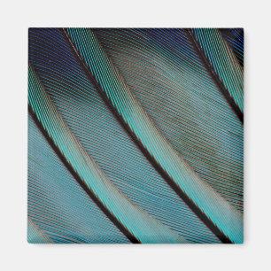 Blue feather pattern magnet