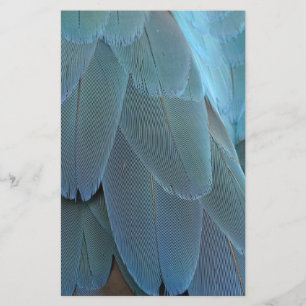Blue Feather Stationery