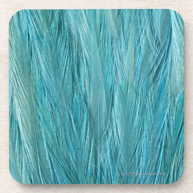 Blue Feathers Coaster (Front)