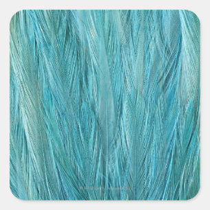 Blue Feathers Square Sticker