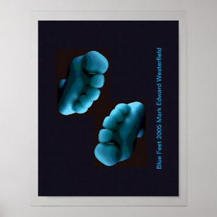 Blue Feet Art Poster