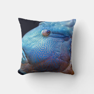 Blue fish cushion