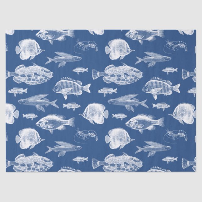 Blue Fish Tissue Paper (Front)