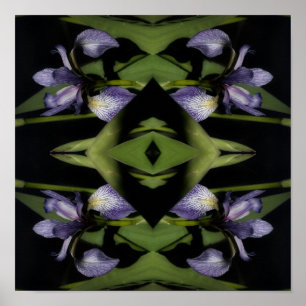 Blue Flag Iris Flower Abstract  Poster