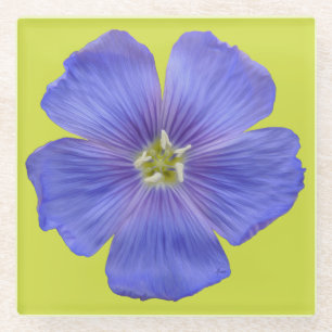 Blue Flax #1 Glass Coaster