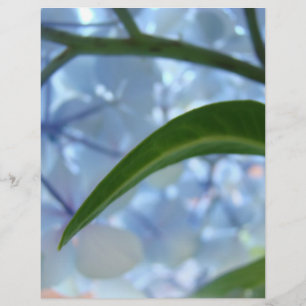 Blue Floral Scrapbook paper Hydrangea Flowers