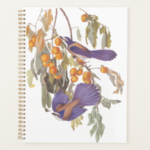 Blue Florida Scrub Jay Audubon Birds with Oranges Planner