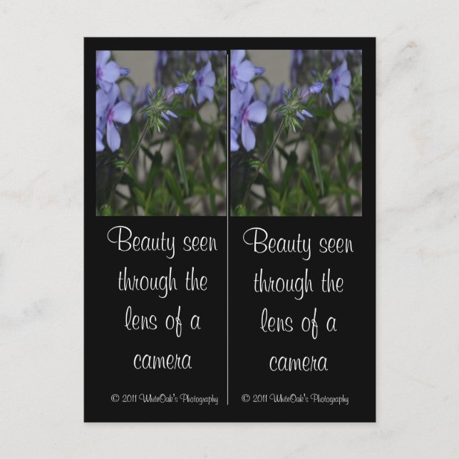 Blue Flower Bookmarks Postcard (Front)