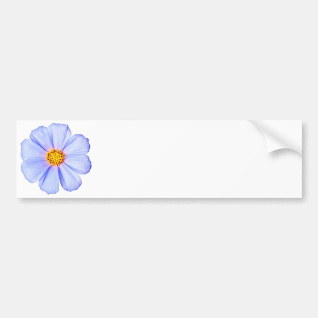 Blue Flower - Customised Cosmos Daisies Template Bumper Sticker (Front)