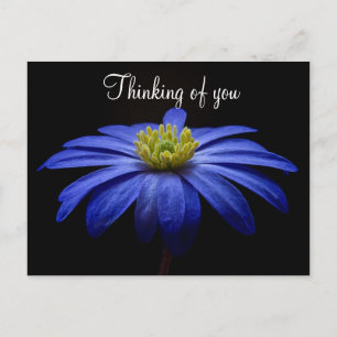 Blue Flower Postcard