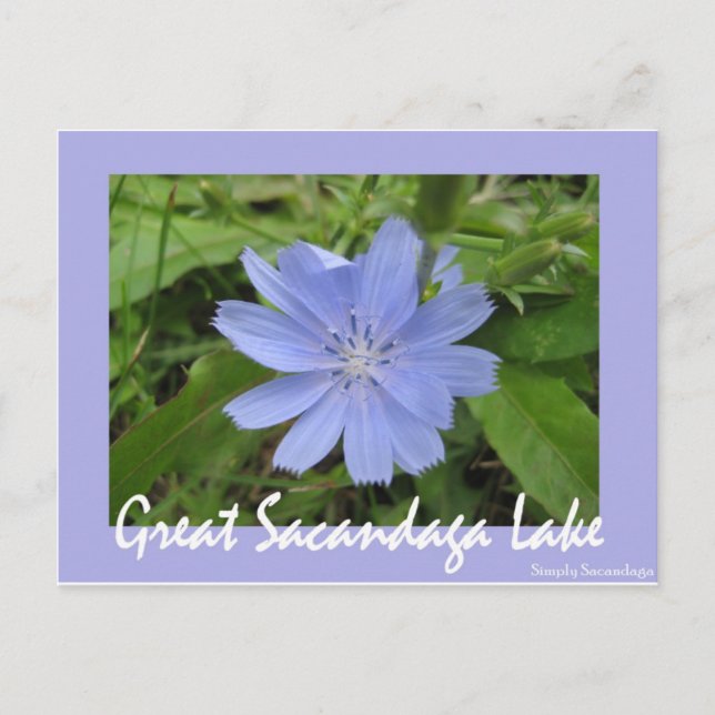 Blue Flower Postcard (Front)