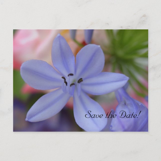 Blue flower Save the Date Postcard (Front)
