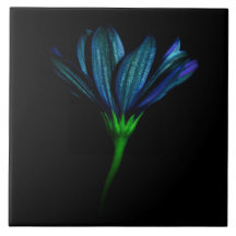 Blue Flower tile