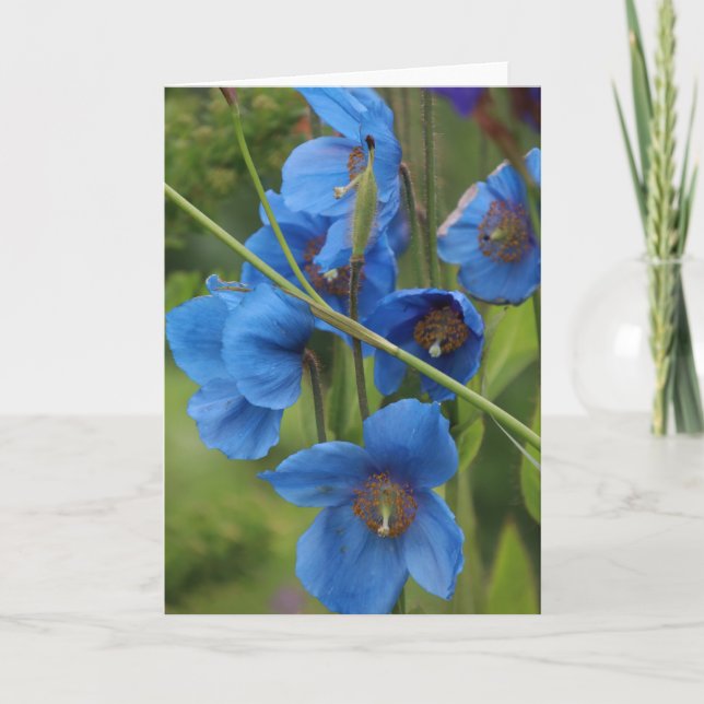 Blue Flowers Card (Front)
