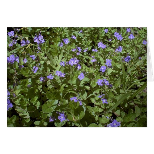 blue flowers card
