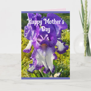 Blue Flowers Floral Iris Irises Mothers Day Card