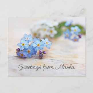 Blue Flowers Forget me not Greetings from Alaska Postcard