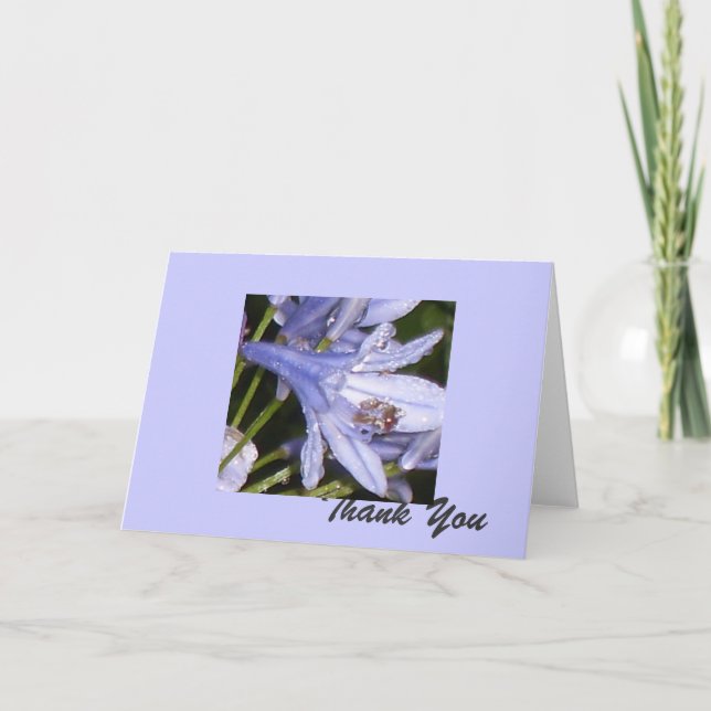 Blue Flowers in the morning 1, Thank You (Front)