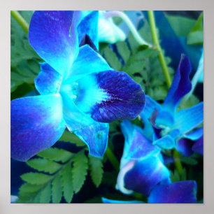 blue flowers Nature Poster