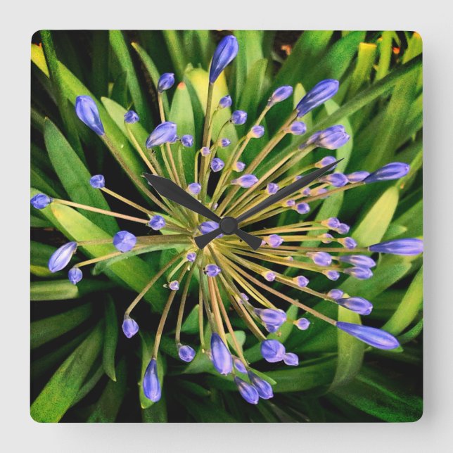 Blue flowers square wall clock (Front)