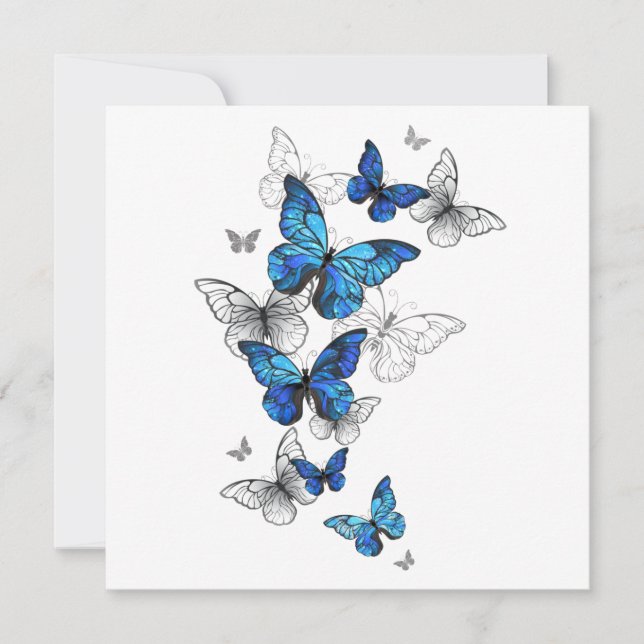 Blue Flying Butterflies Morpho (Front)