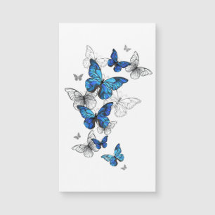 Blue Flying Butterflies Morpho