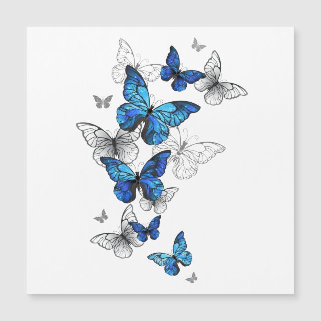Blue Flying Butterflies Morpho (Front)