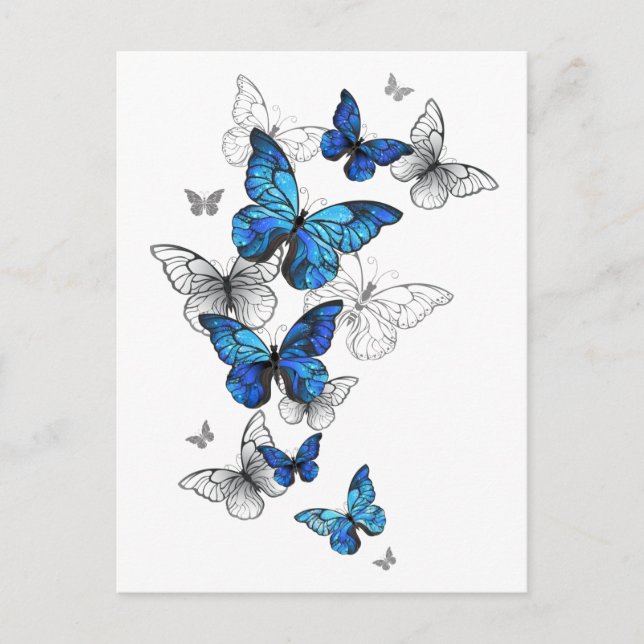 Blue Flying Butterflies Morpho Announcement Postcard (Front)