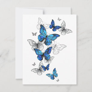 Blue Flying Butterflies Morpho Card