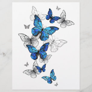Blue Flying Butterflies Morpho Custom Letterhead