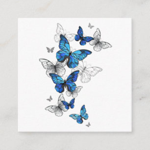 Blue Flying Butterflies Morpho Enclosure Card