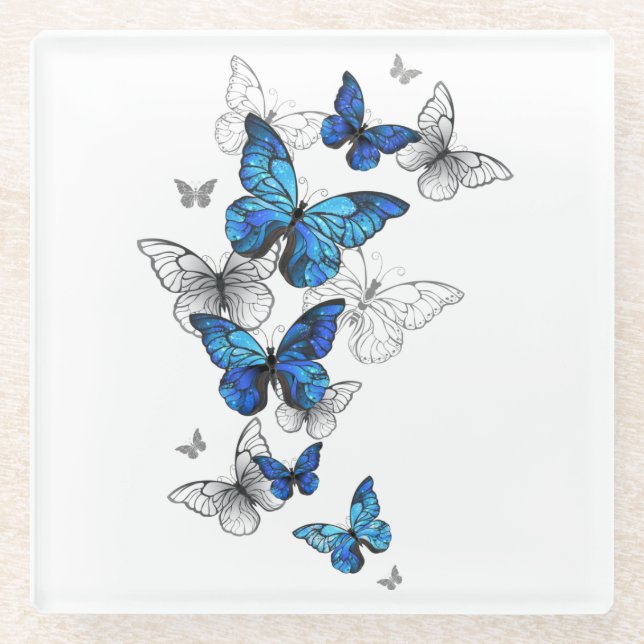 Blue Flying Butterflies Morpho Glass Coaster (Front)