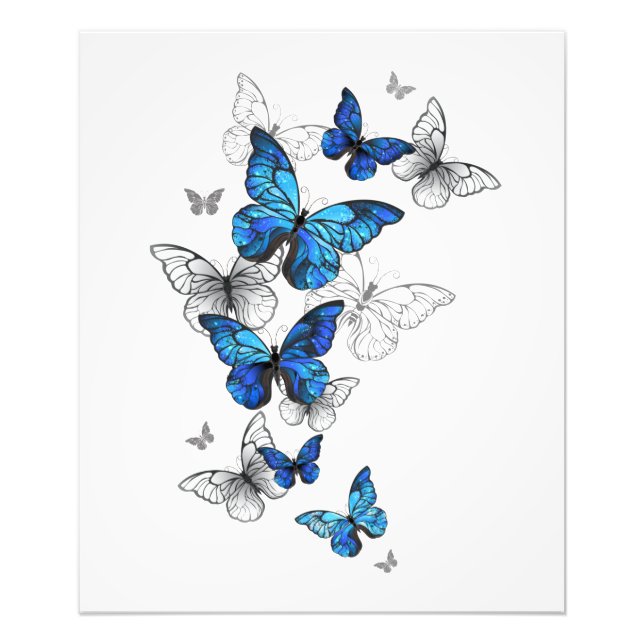 Blue Flying Butterflies Morpho Photo Print (Front)