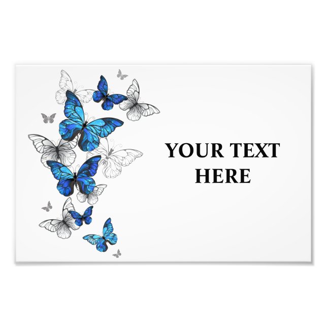 Blue Flying Butterflies Morpho Photo Print (Front)