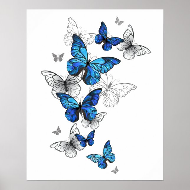 Blue Flying Butterflies Morpho Poster (Front)