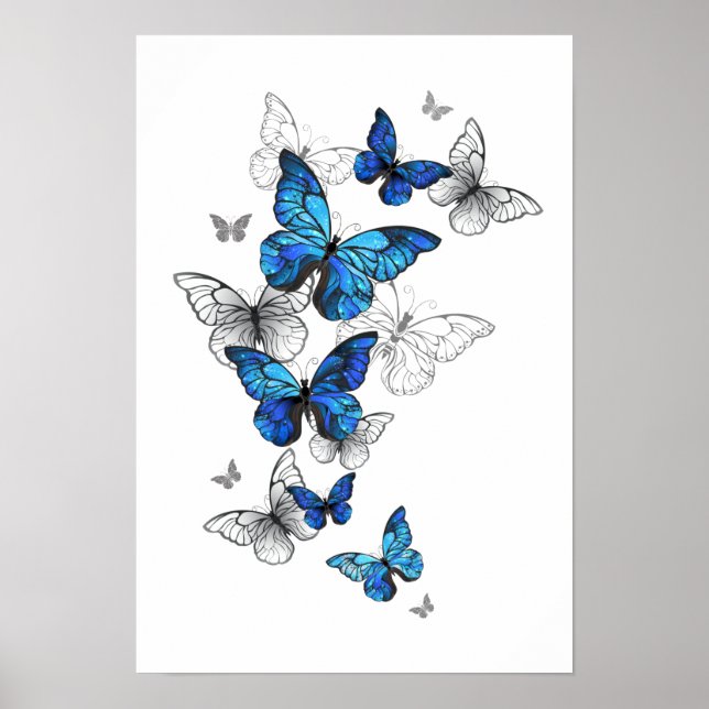 Blue Flying Butterflies Morpho Poster (Front)