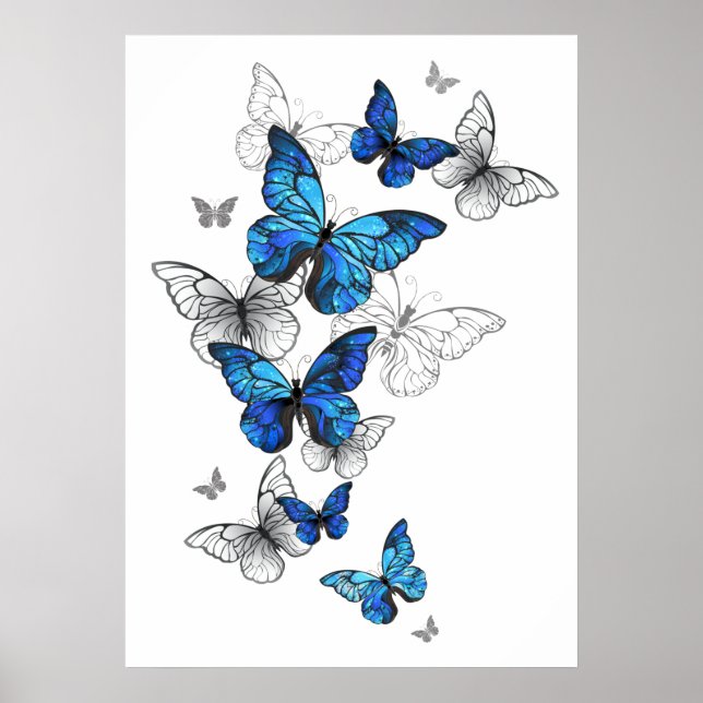 Blue Flying Butterflies Morpho Poster (Front)