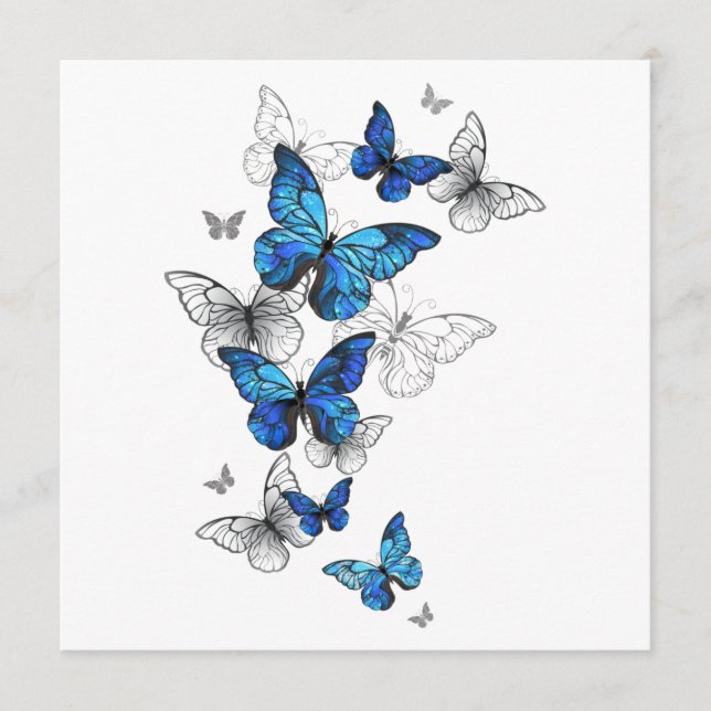 Blue Flying Butterflies Morpho Program (Front)