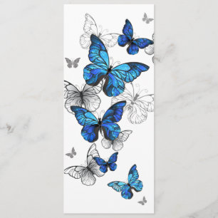 Blue Flying Butterflies Morpho Program