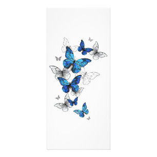 Blue Flying Butterflies Morpho Rack Card