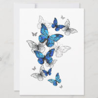 Blue Flying Butterflies Morpho