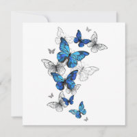 Blue Flying Butterflies Morpho