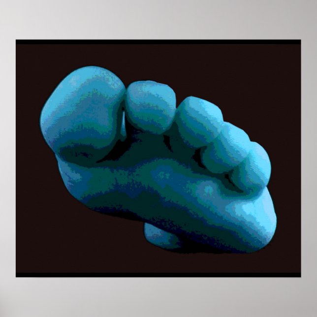 Blue Foot, 2005 Computer Art. Poster (Front)