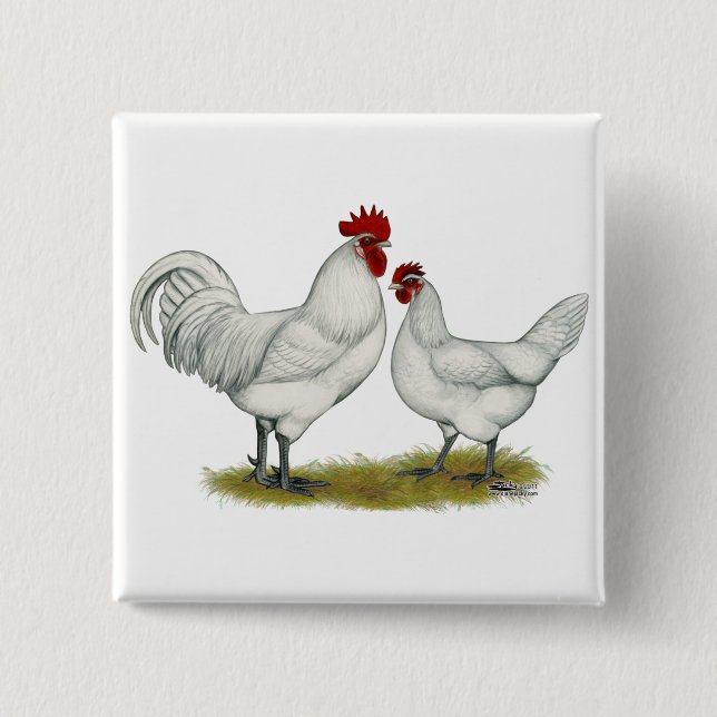 Blue Foot Chickens 15 Cm Square Badge (Front)